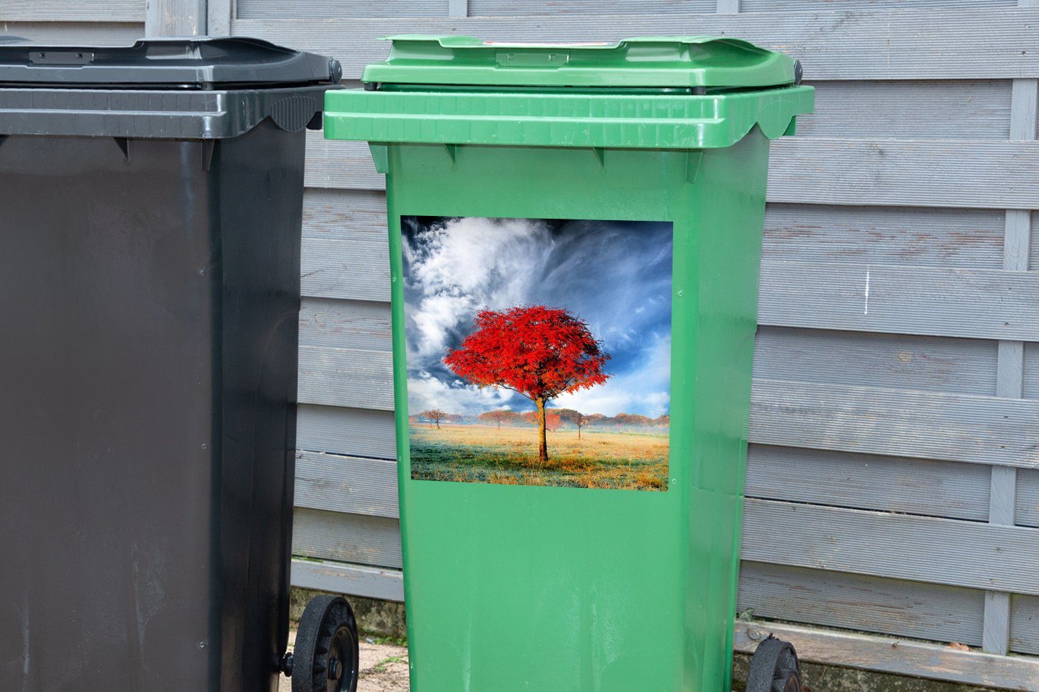 an Abfalbehälter Wandsticker Baum MuchoWow roten Mülltonne, Sticker, einsamen Die (1 St), Mülleimer-aufkleber, Container, Blätter einem