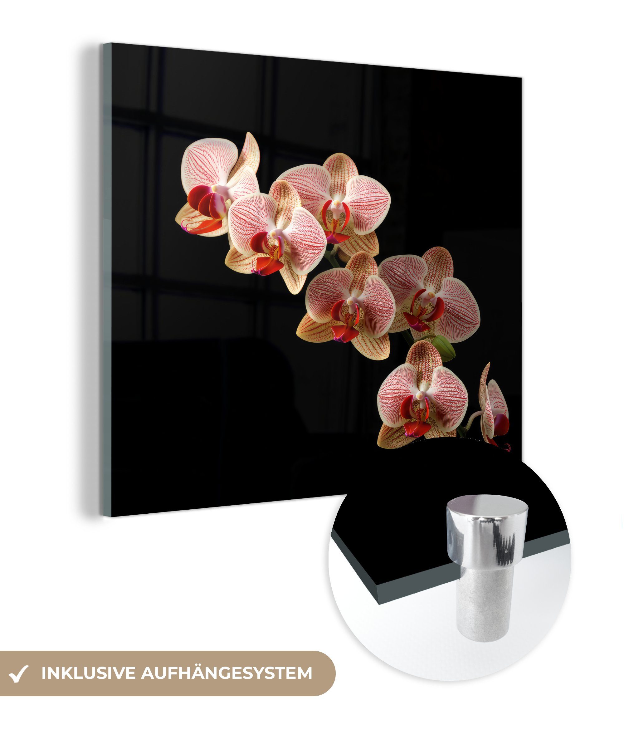 MuchoWow Acrylglasbild Blumen - Orchidee - Rosa - Botanisch - Natur, (1 St), Glasbilder - Bilder auf Glas Wandbild - Foto auf Glas - Wanddekoration