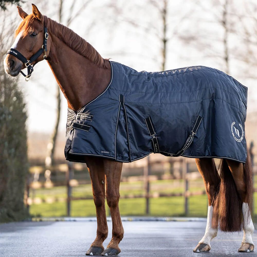 Back on track Pferde-Stalldecke Back on Track Stalldecke Millie 200g