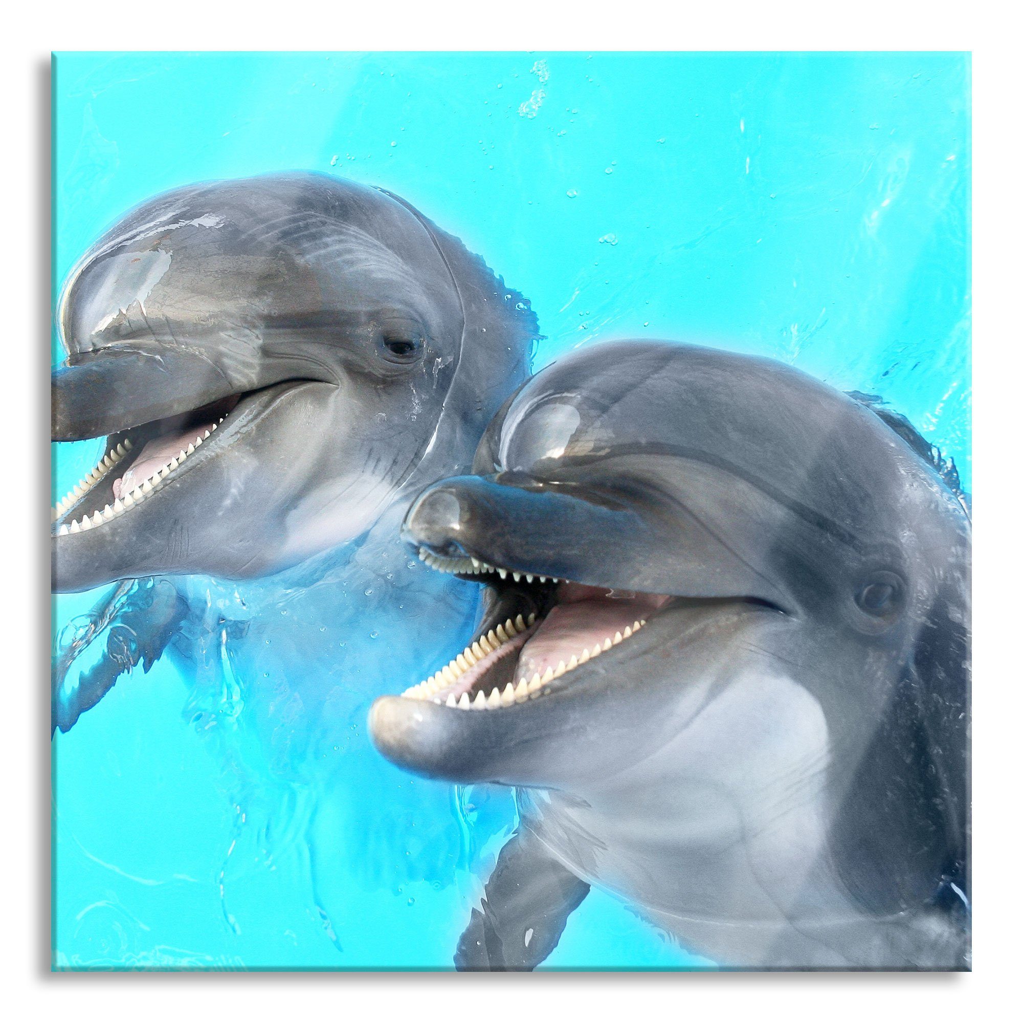 Pixxprint Glasbild Delfinpaar, Delfinpaar (1 St), Glasbild aus Echtglas, inkl. Aufhängungen und Abstandshalter