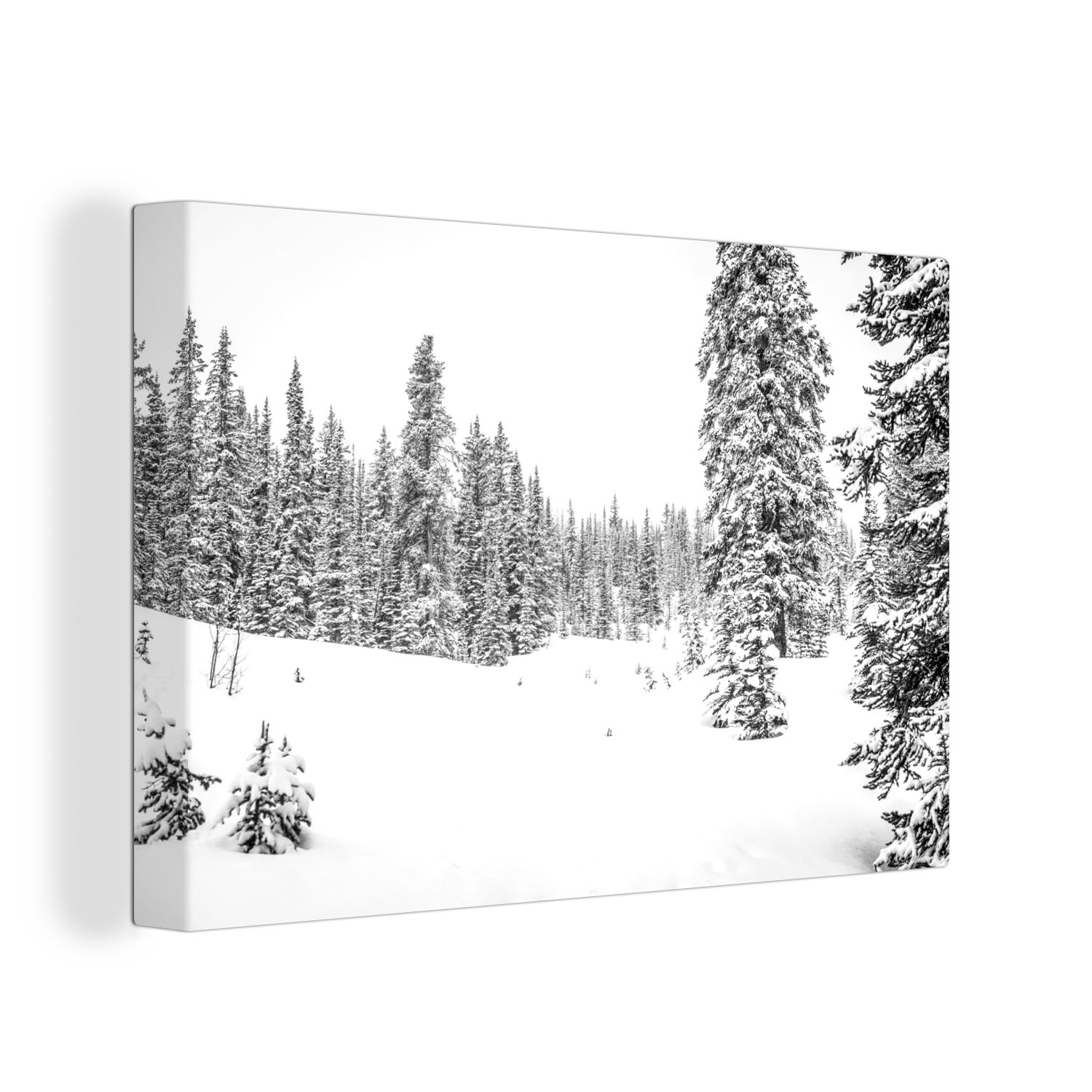 OneMillionCanvasses® Leinwandbild St), schwarz (1 - und Wandbild auf Aufhängefertig, weiß, cm wachsen Bäume Leinwandbilder, Wanddeko, verschneiten einem Wald 30x20