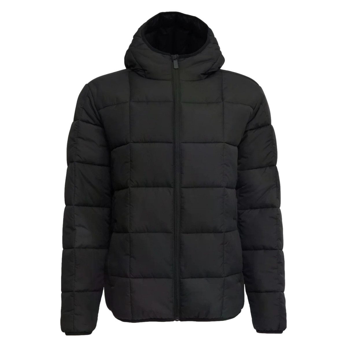 MAZINE Winterjacke Mazine Chester Light Padded Jacket - Herren Jacke
