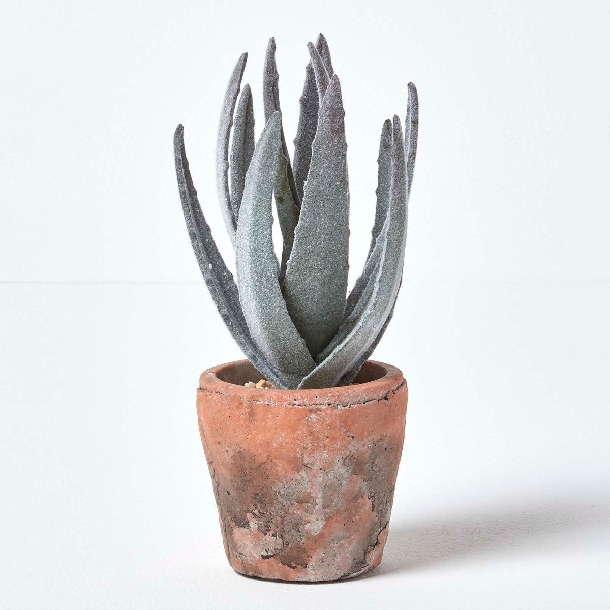 Kunstpflanze Klein Künstliche Echte Aloe Vera in Topf aus Terrakotta, 21 cm hoch