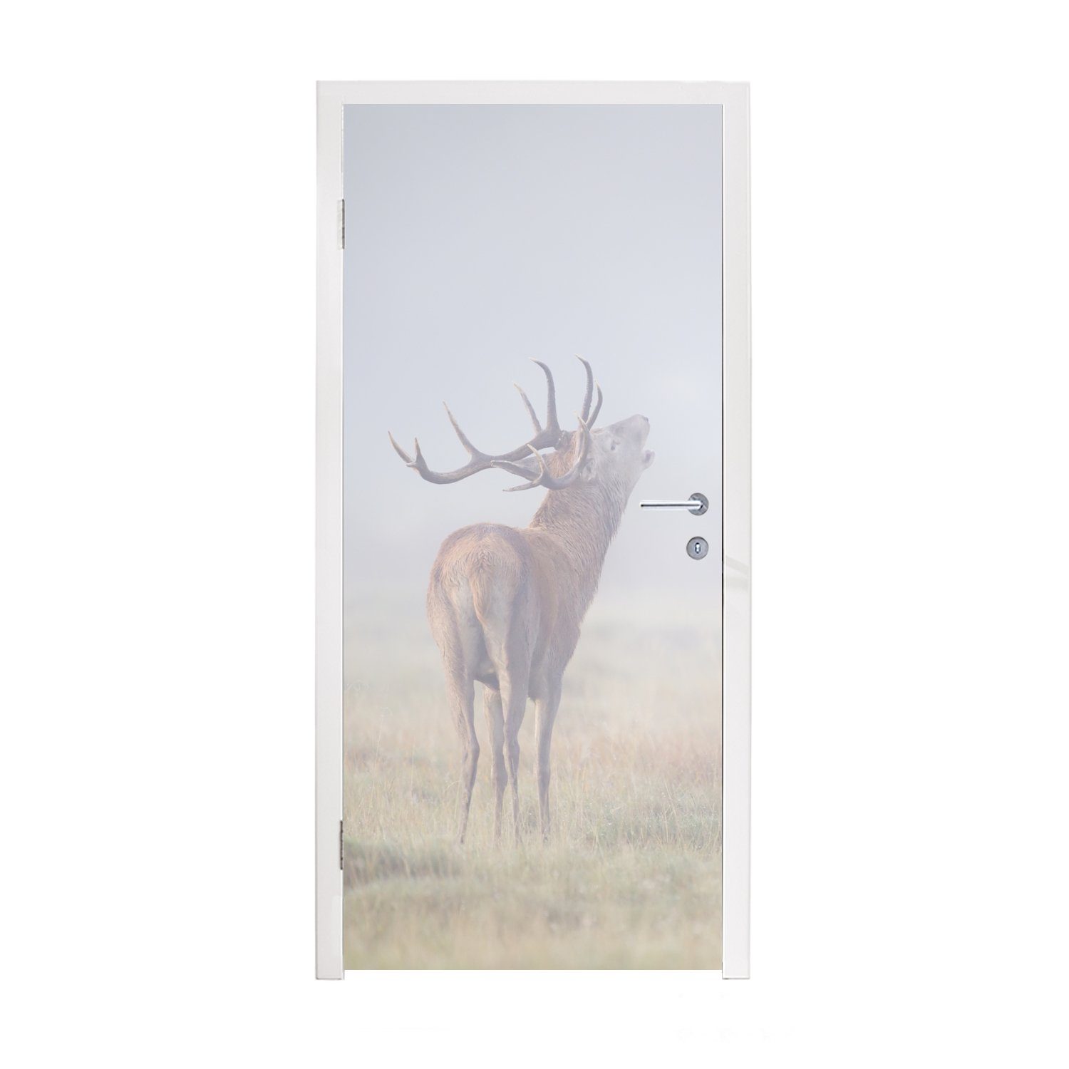 MuchoWow Türtapete Hirsche - Gras - Nebel, Matt, bedruckt, (1 St), Fototapete für Tür, Türaufkleber, 75x205 cm