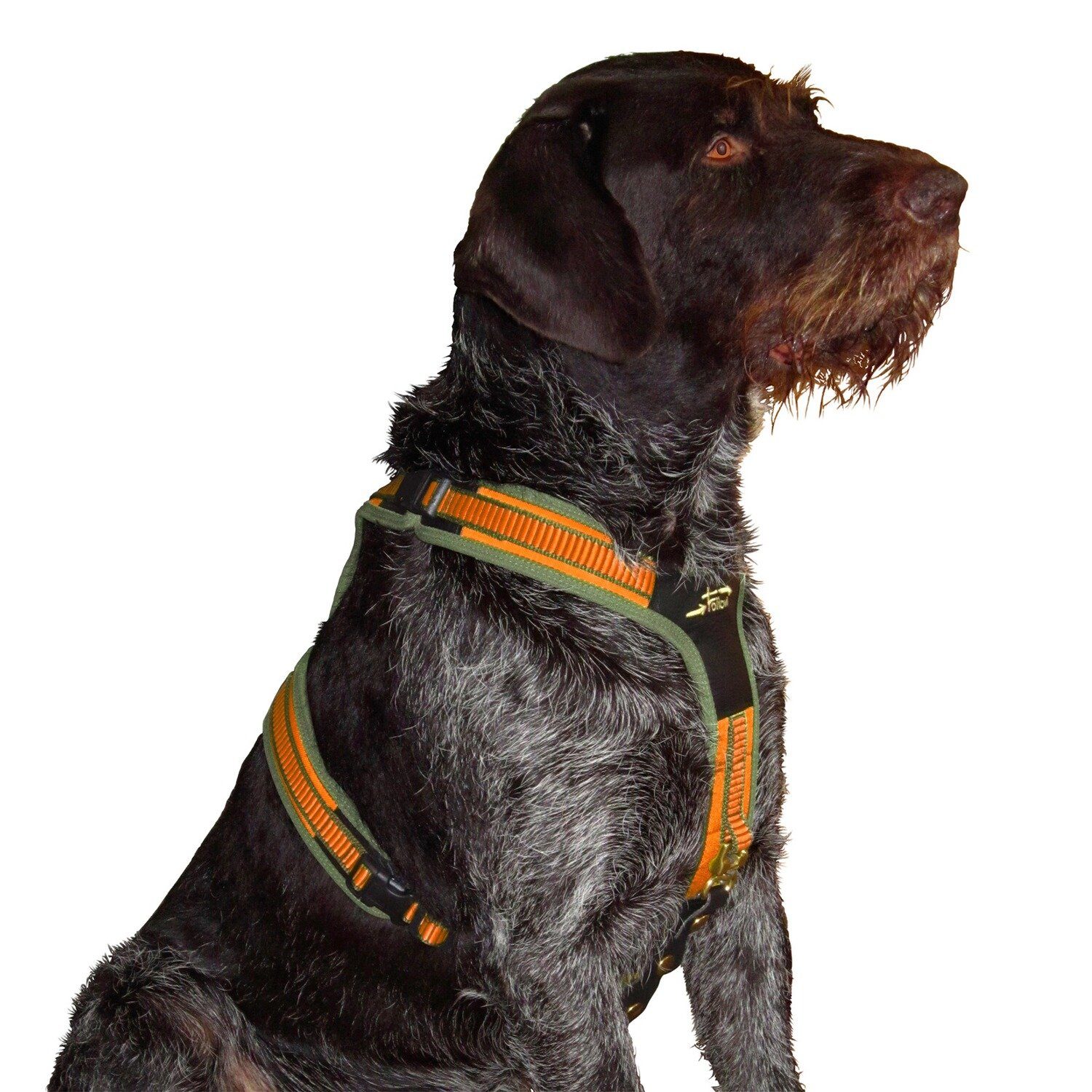 Niggeloh Hunde-Geschirr Hundeführgeschirr Follow 3 günstig online kaufen
