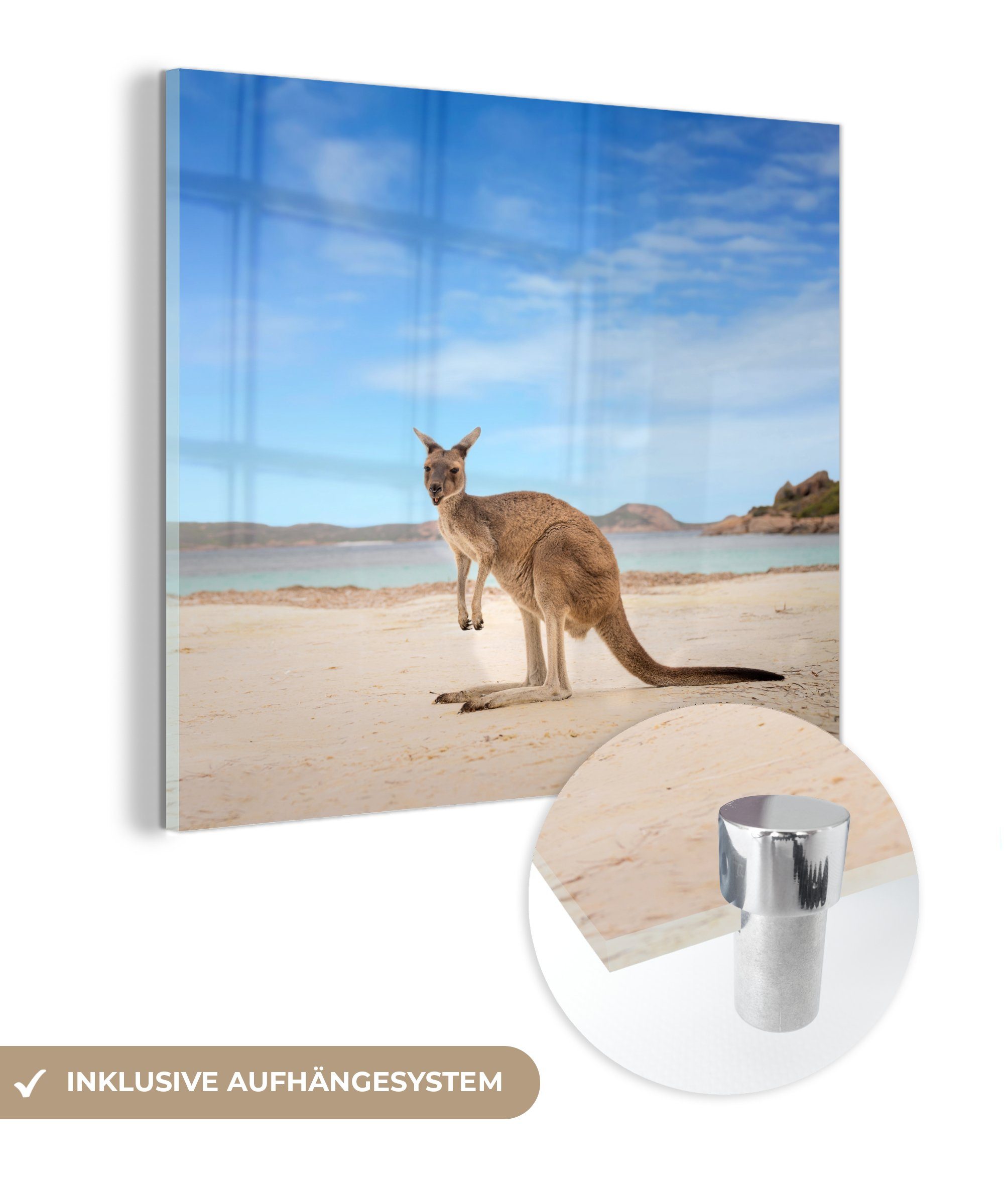 MuchoWow Acrylglasbild Strand - Känguru - Wandbild - Foto - Wanddekoration Glas Glasbilder auf Australien, - (1 St), Glas auf Bilder