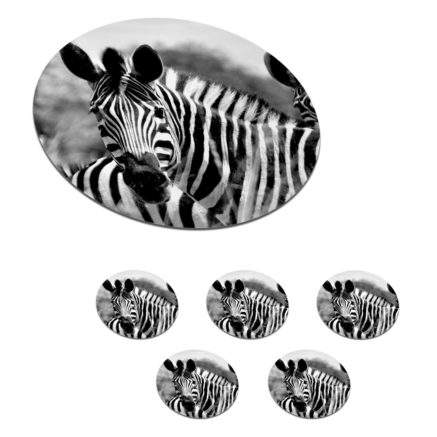 MuchoWow Glasuntersetzer Zebra - Schwarz - Weiß - Tiere, Zubehör für Gläser, 6-tlg., Getränkeuntersetzer, Tassenuntersetzer, Korkuntersetzer, Tasse, Becher