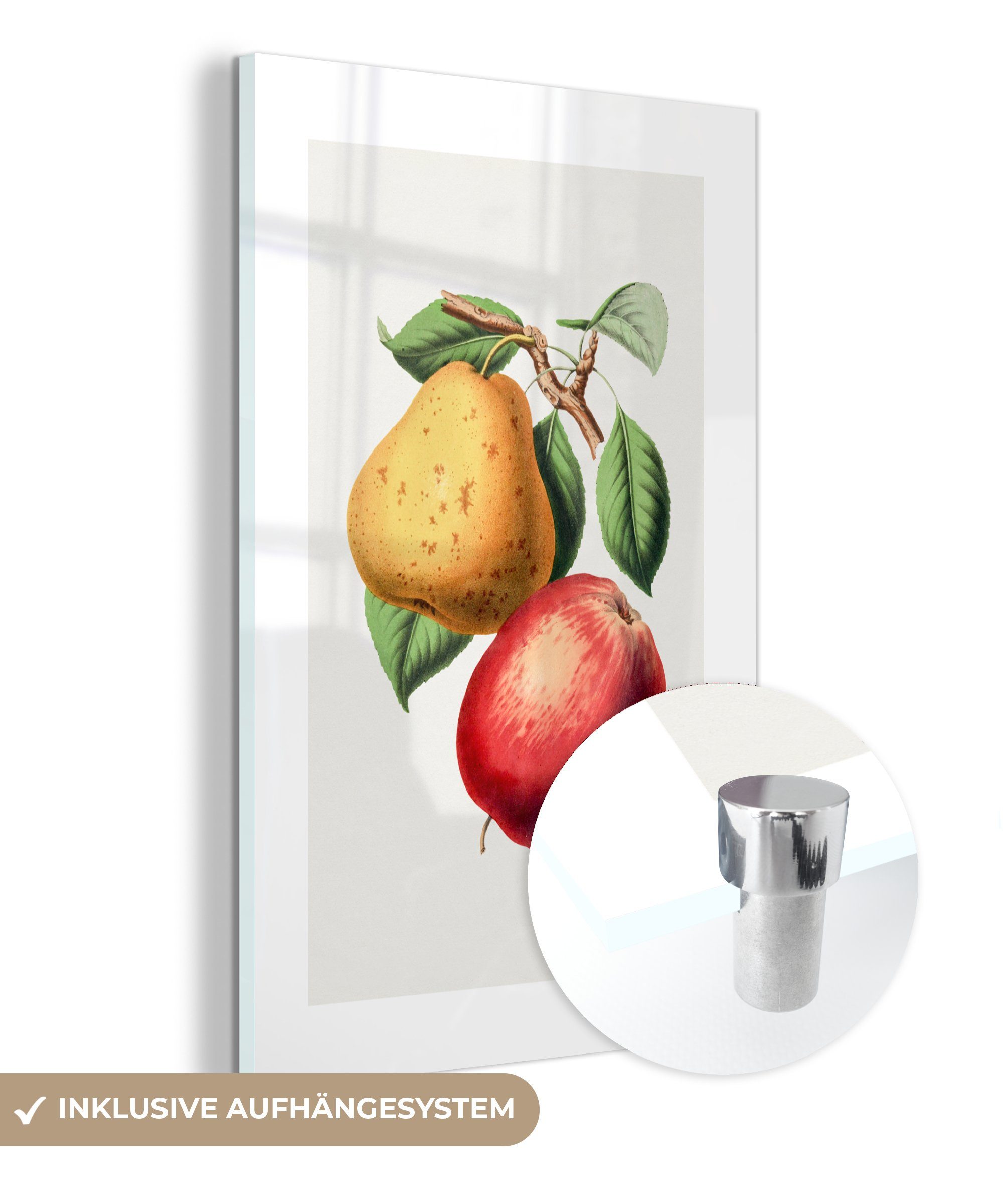 MuchoWow Acrylglasbild Apfel - Birne - Lebensmittel, (1 St), Glasbilder - Bilder auf Glas Wandbild - Foto auf Glas - Wanddekoration