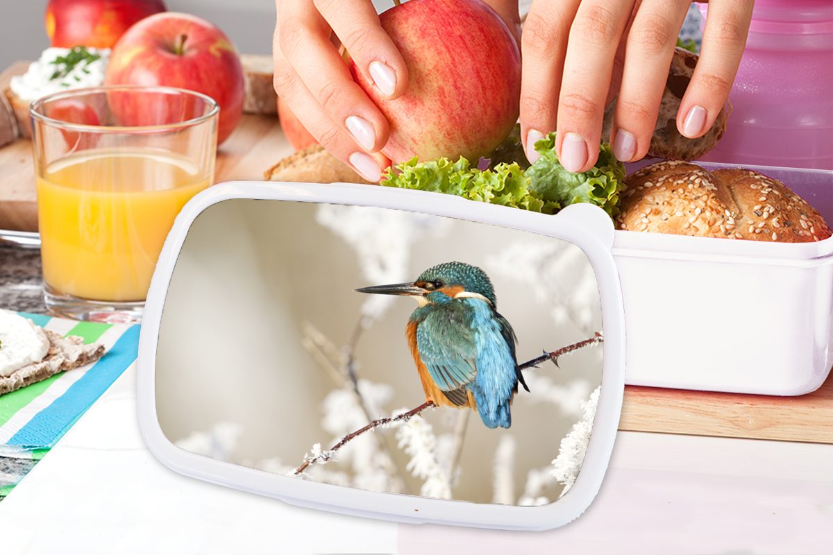 Lunchbox Erwachsene, MuchoWow und für Eisvogel Mädchen für (2-tlg), Brotbox Äste, weiß Jungs Kinder - Brotdose, und - Schnee Kunststoff,