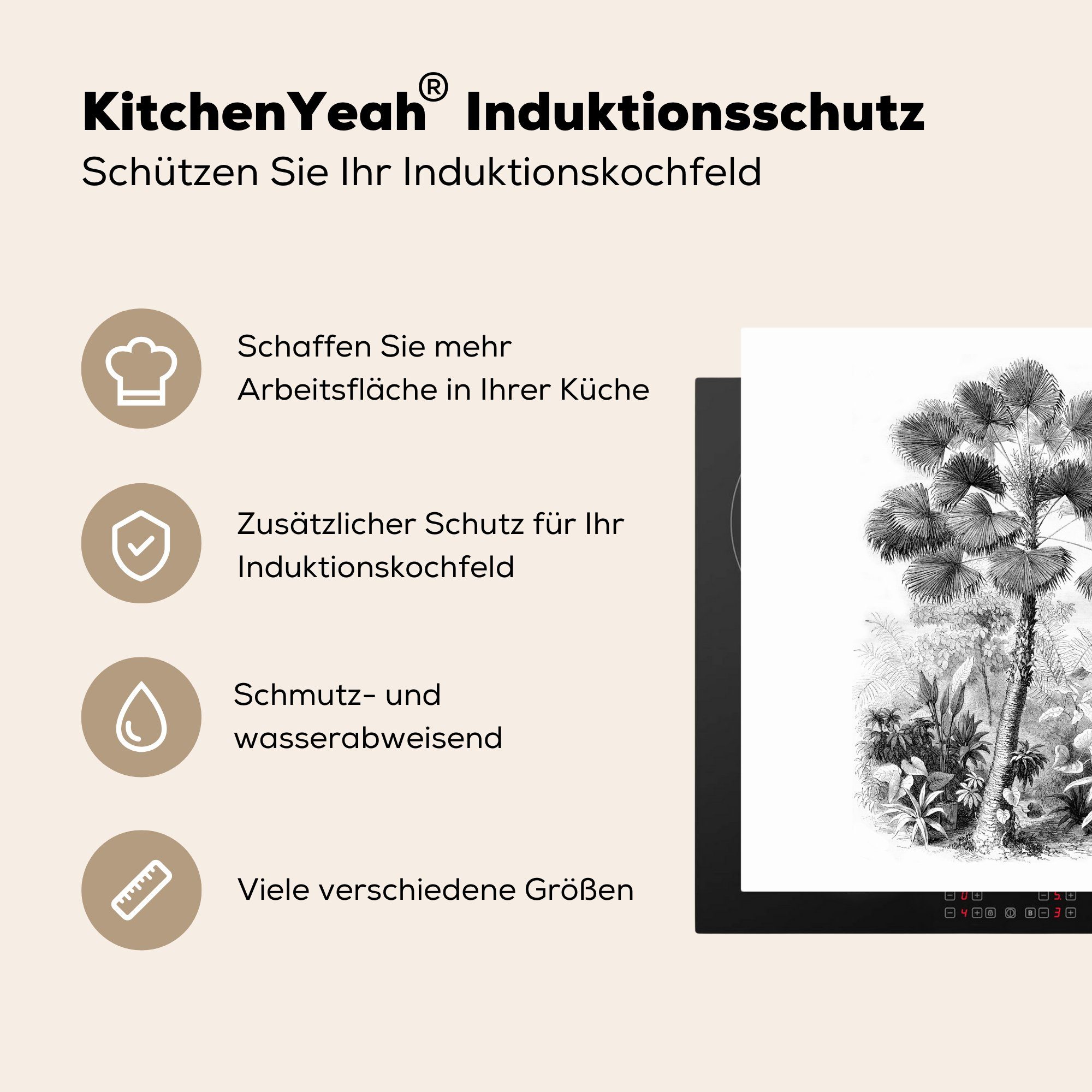 MuchoWow Herdblende-/Abdeckplatte Design - Natur tlg), Baum, Ceranfeldabdeckung, 78x78 - cm, Vinyl, küche Arbeitsplatte für (1
