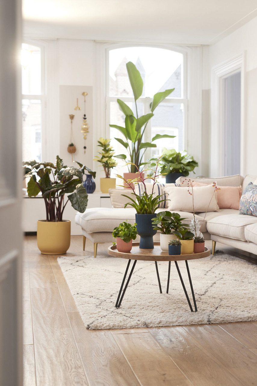 Elho Blumentopf Elho Blumentopf Vibes Fold günstig online kaufen