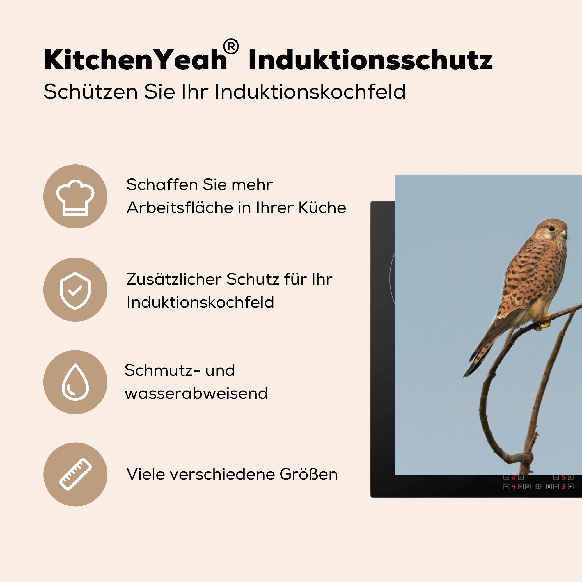 (1 die Vogel Schutz Braun, Herdblende-/Abdeckplatte cm, - für Vinyl, 81x52 Induktionskochfeld Ceranfeldabdeckung küche, MuchoWow Zweig tlg), -