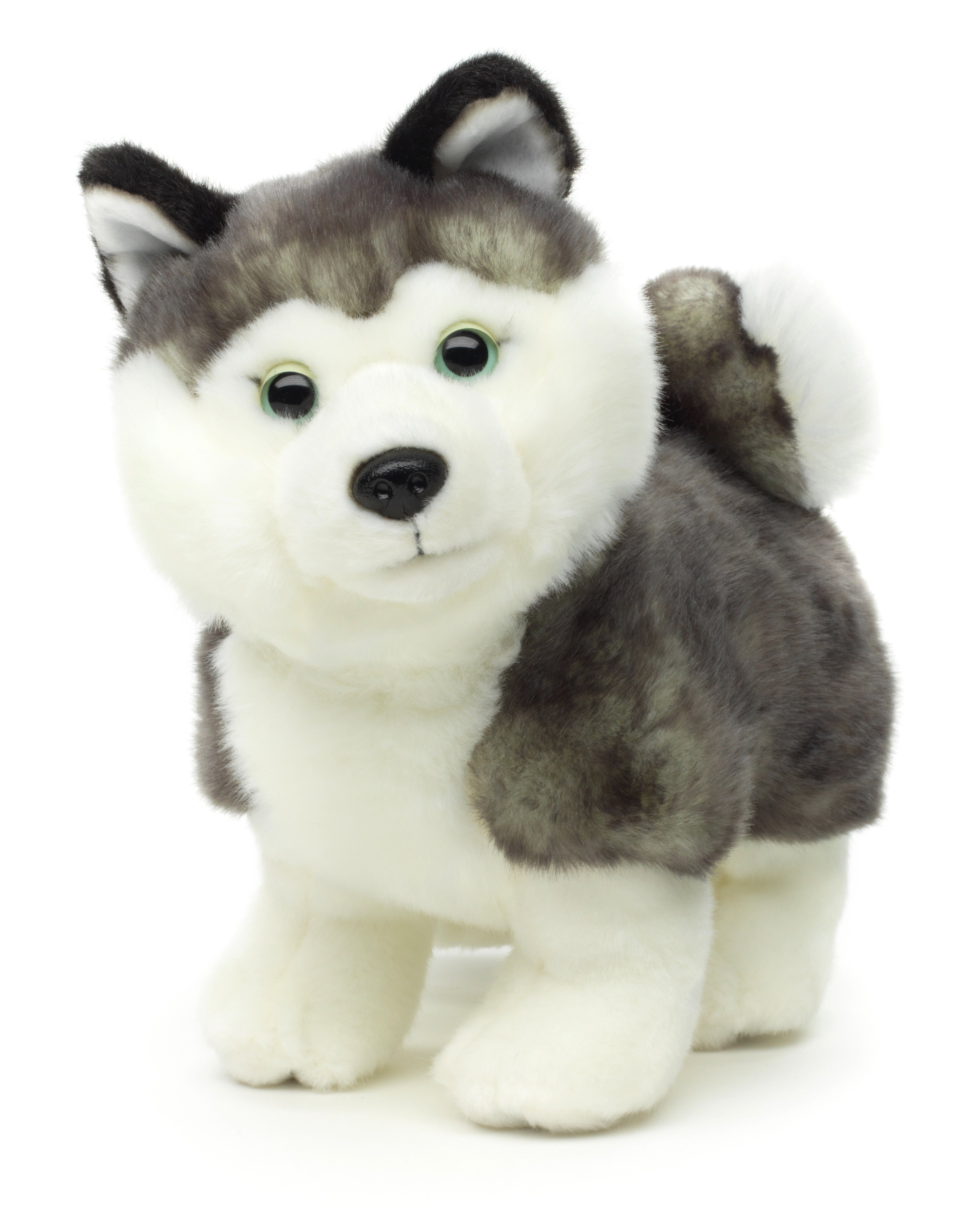 Husky 100 Plüschtier, (o. zu Uni-Toys % 24 cm Kuscheltier Plüsch-Hund, - recyceltes Leine) stehend Welpe Füllmaterial - grau,