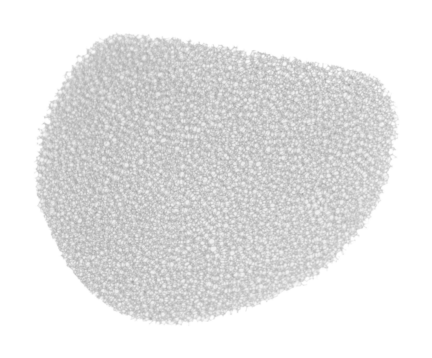 Severin Ersatzfilter Severin 1085048 Filter für SC7177 Bodenwischer