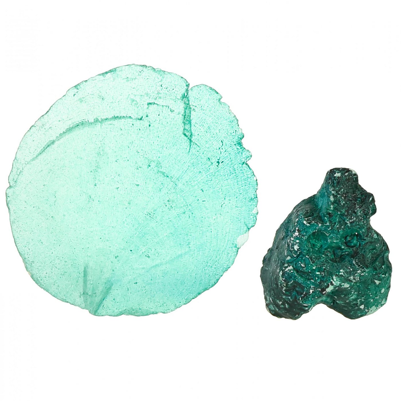 Thumbnail - Viana Bastelnaturmaterial Austern Muscheln Capizscheiben Türkis Deko-Netz 3,5–9,5cm