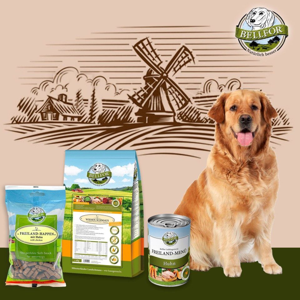 Bellfor Bellfor Golden Retriever Futter Set, für: Hunde