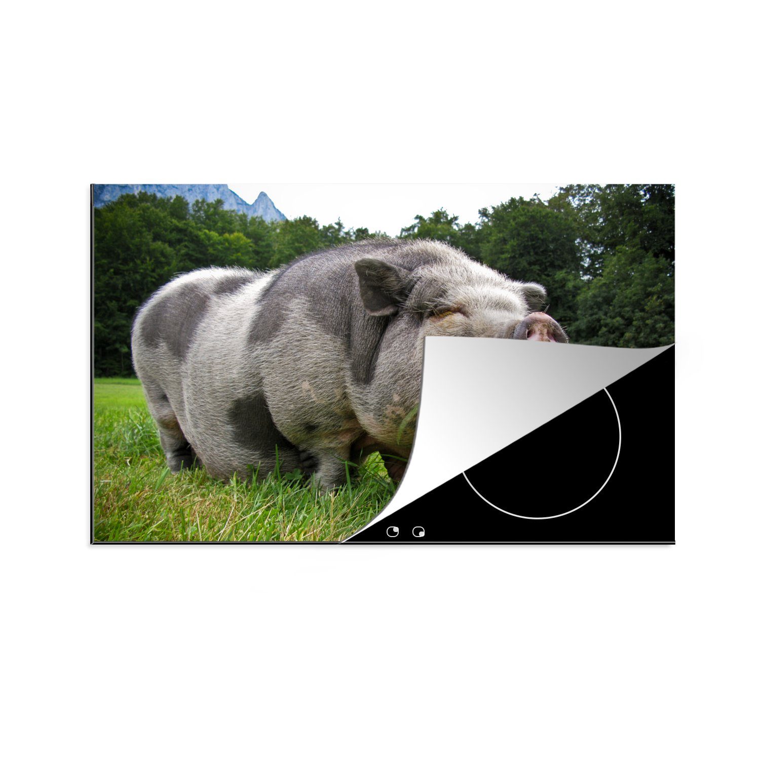 MuchoWow Herdblende-/Abdeckplatte Pendelschwein - Schutz für Tiere, Gras Vinyl, - cm, küche, die (1 Ceranfeldabdeckung 81x52 tlg), Induktionskochfeld