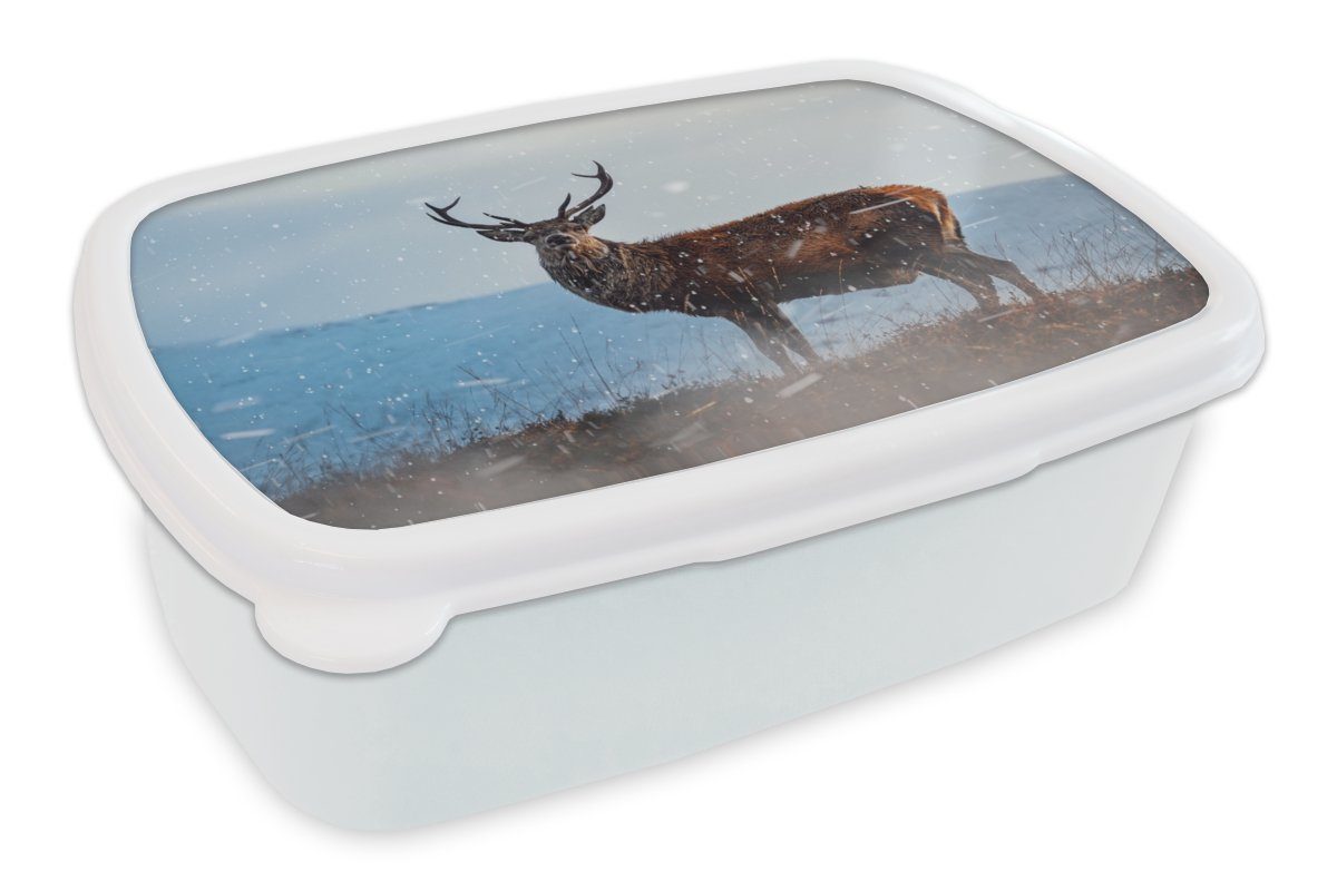 MuchoWow Lunchbox Hirsche auf der verschneiten Heide, Kunststoff, (2-tlg), Brotbox für Kinder und Erwachsene, Brotdose, für Jungs und Mädchen weiß
