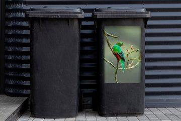MuchoWow Wandsticker Quetzal frisst kleine Avocados (1 St), Mülleimer-aufkleber, Mülltonne, Sticker, Container, Abfalbehälter