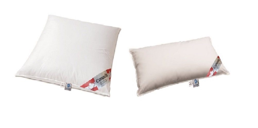 Canada Daunenkissen Gänse Daune canadian goose Gänse Daunen Kopfkissen, Fül günstig online kaufen