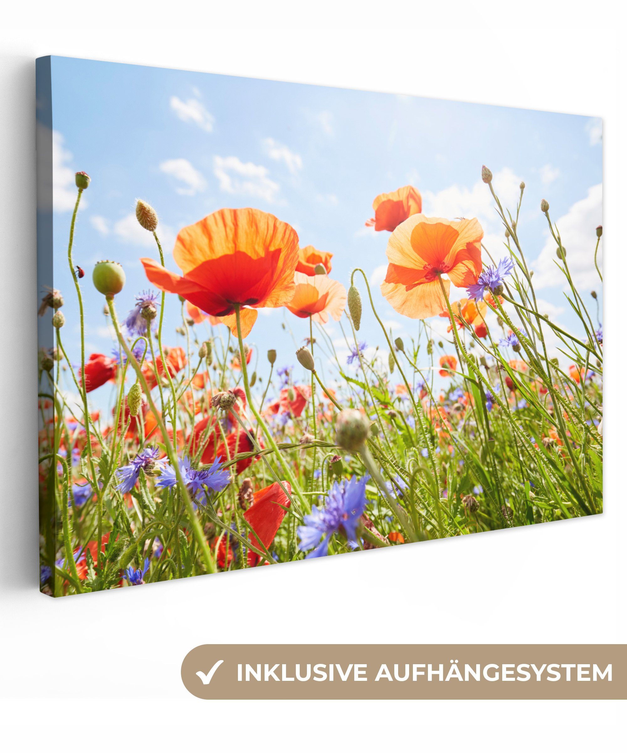 OneMillionCanvasses® Leinwandbild Blumen - Mohn - Frühling - Natur - Rot - günstig online kaufen