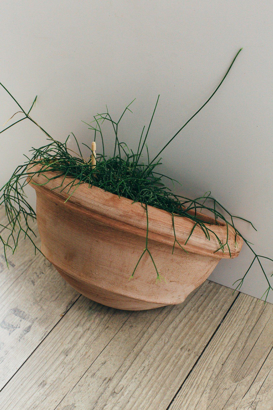 Teramico Pflanzkübel Wandhänger Terrakotta Vaso a günstig online kaufen