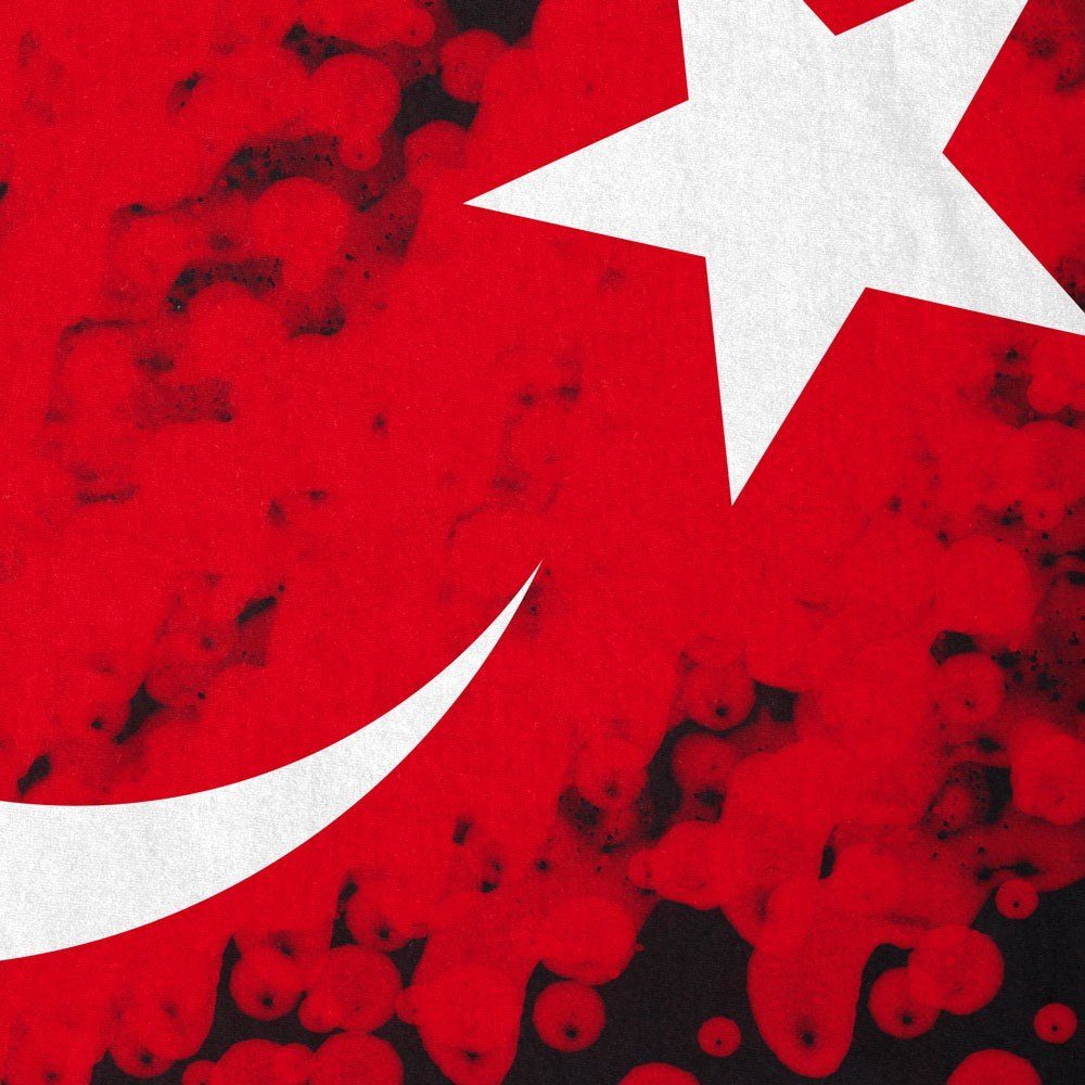 rot istanbul Herren Flagge Turkey erdogan Print-Shirt Flag Stern schwarz Türkei T-Shirt Türkiye style3 Mond