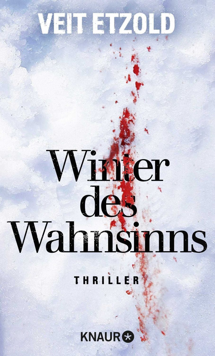 Belletristik Winter des Wahnsinns Thriller Veit Etzold