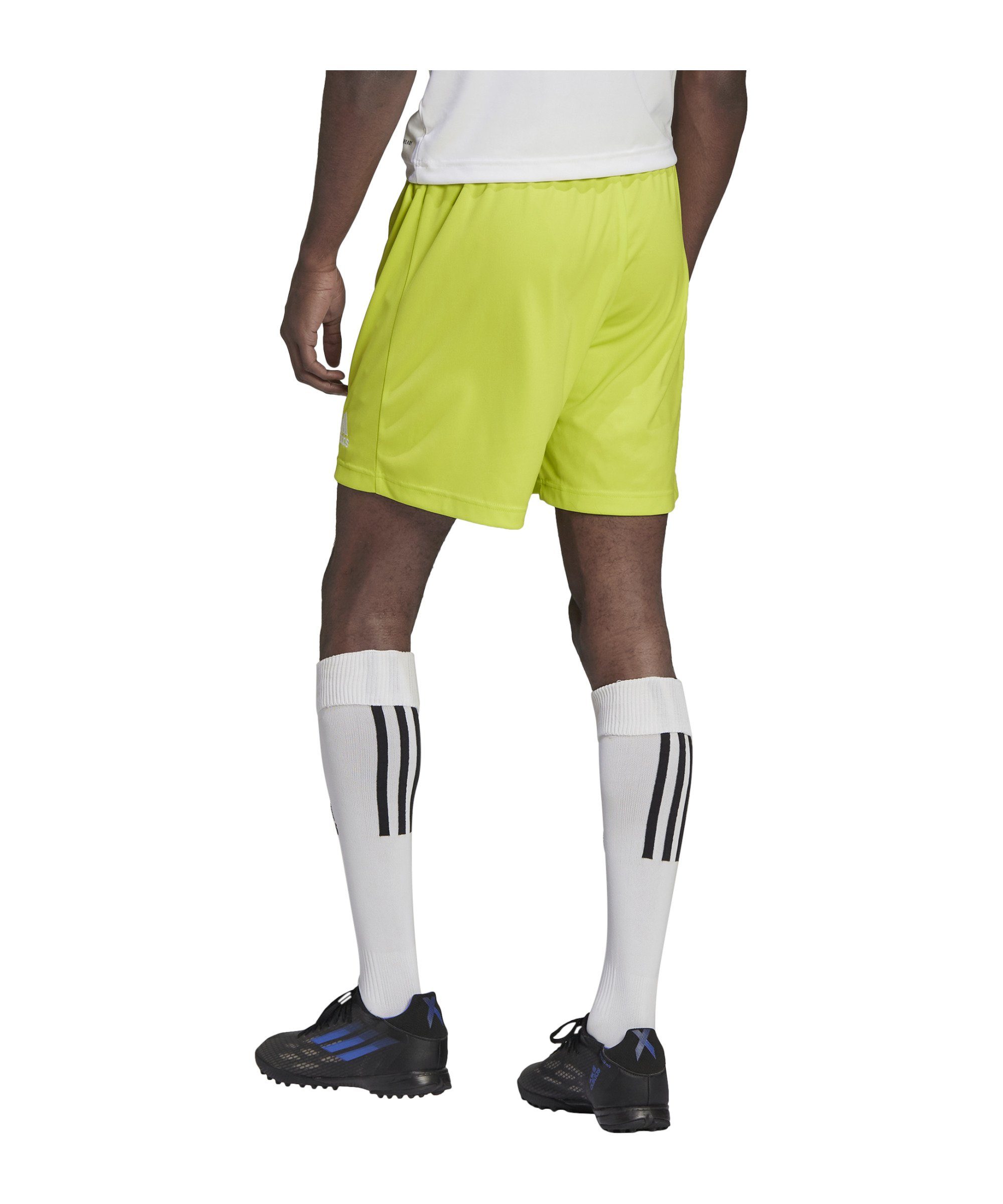adidas Performance Sporthose adidas Performance Entrada 22 Short Shorts Her günstig online kaufen