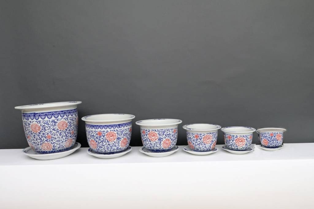 Yajutang Topfpflanze