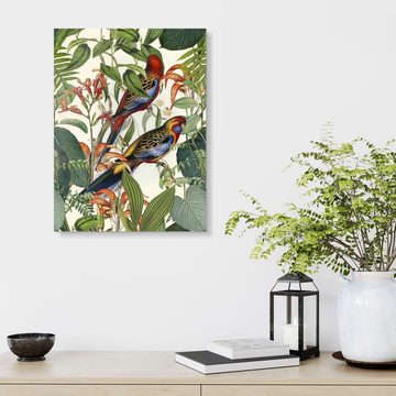 Posterlounge Acrylglasbild Andrea Haase, Tropische Vögel I, Illustration