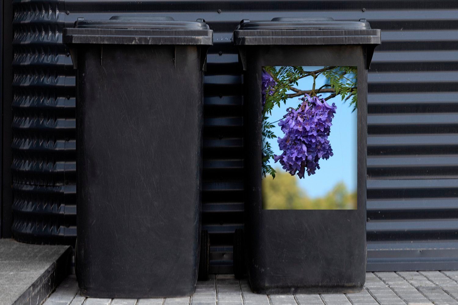 MuchoWow Wandsticker Nahaufnahme einer Jacaranda Sticker, Container, Mülltonne, Abfalbehälter Mülleimer-aufkleber, St), (1