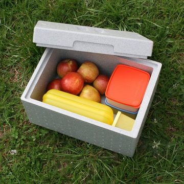 Climapor Kühlbox Climapor Transportbox klein, Volumen: 54,5 x 35 x 18 cm (16,5 Liter), 16 l