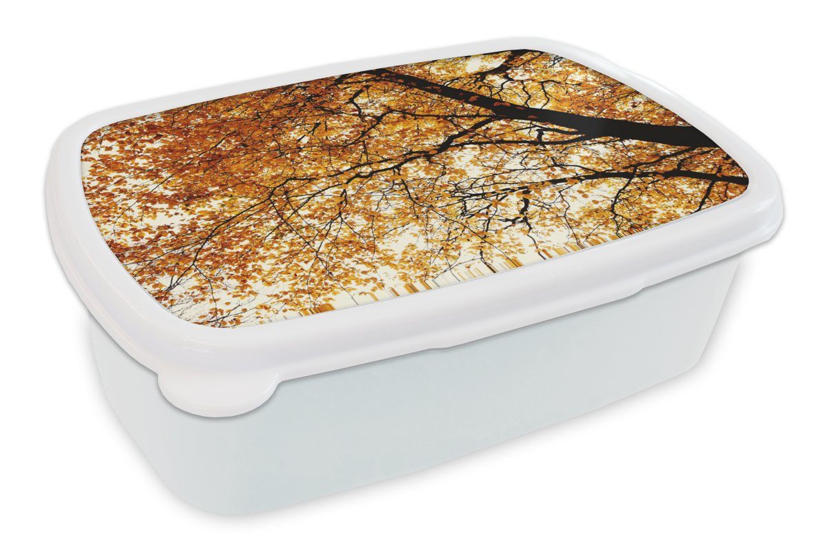 MuchoWow Lunchbox Baum - Herbstblätter - Jahreszeiten - Rustikal, Kunststoff, (2-tlg), Brotbox für Kinder und Erwachsene, Brotdose, für Jungs und Mädchen weiß