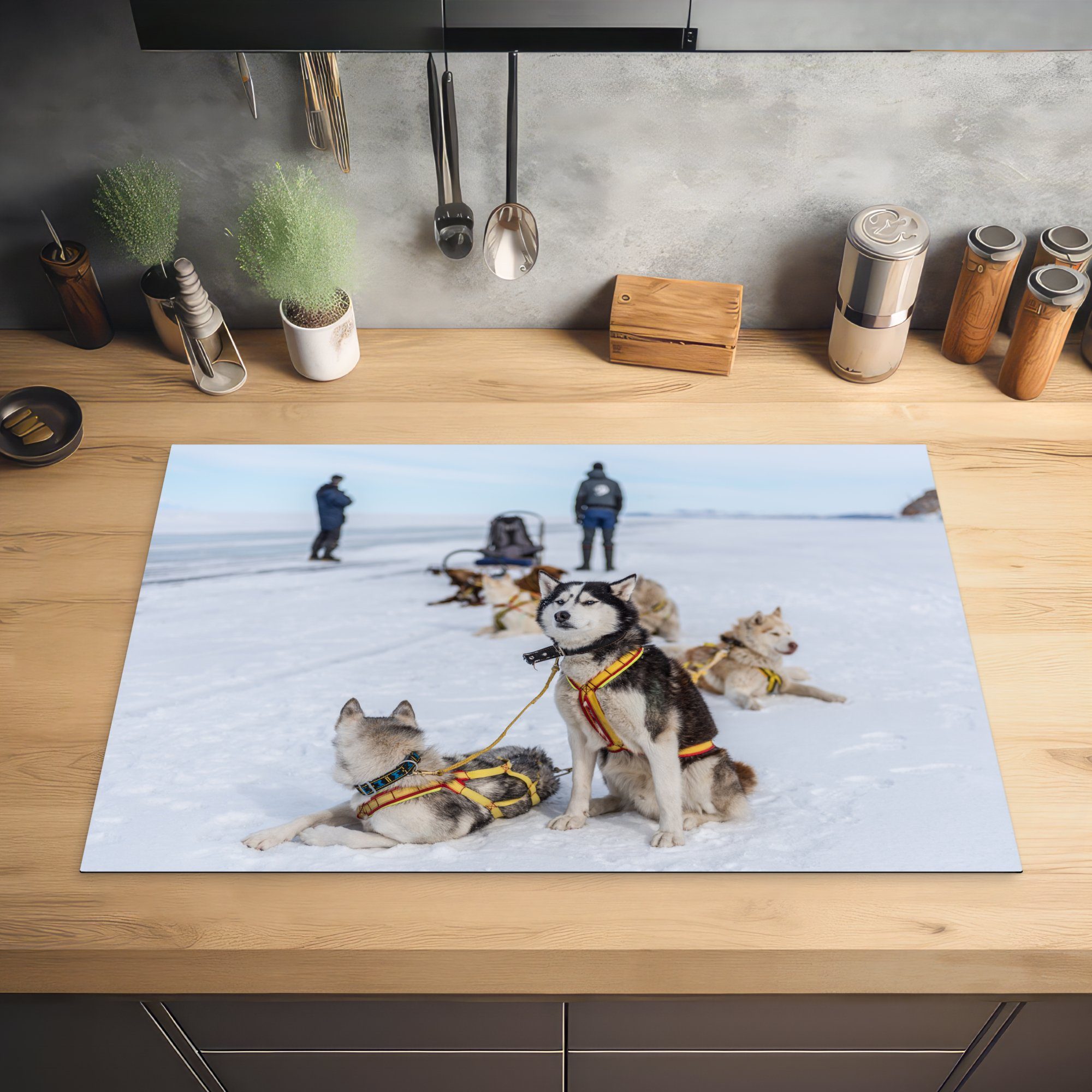 tlg), Siberian ruht, Huskies cm, die (1 auf der im einem für MuchoWow Induktionskochfeld Schlitten, Herdblende-/Abdeckplatte Vinyl, 81x52 Schnee küche, Schutz Ceranfeldabdeckung