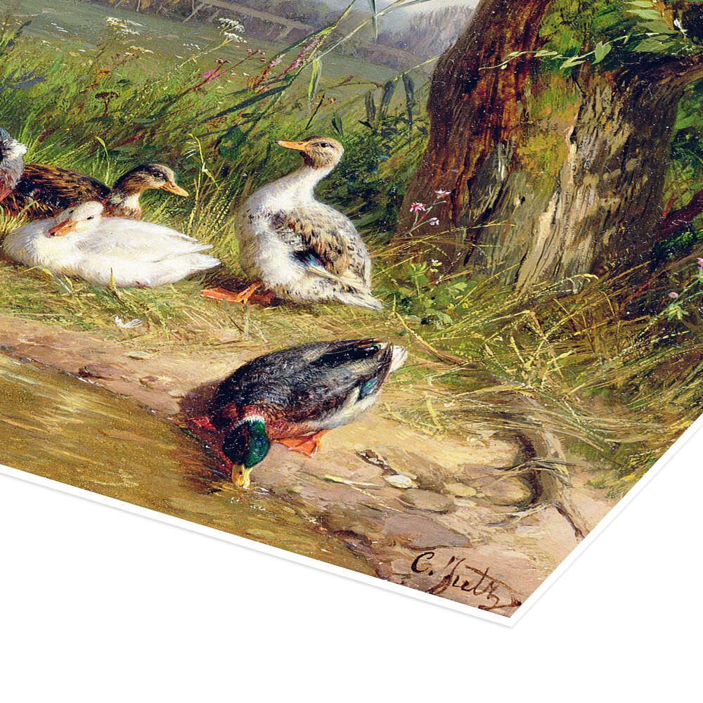 Posterlounge Wandbild Mallard Enten mit ihren Entenküken, Carl Jutz, erhältlich als Poster, Leinwandbild, Wandsticker oder Acrylglasbild