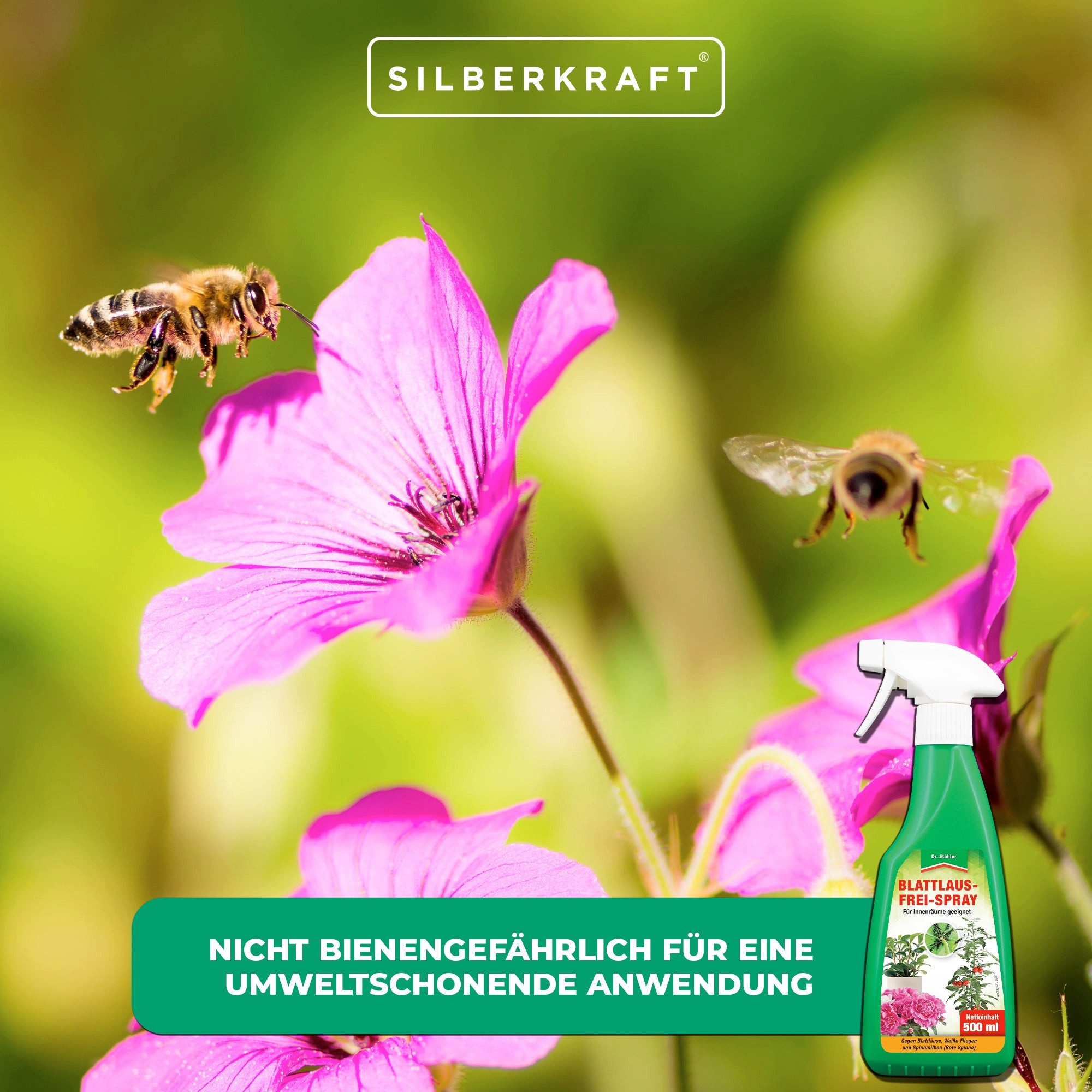 Dr. Stähler Insektenspray Blattlausfrei-Spray - Effektiver Schutz für Obst, Gemüse & Zierpflanze, 500.0 ml, 1-St., Bekämpft Blattläuse, Fliegen, Spinnmilben & Sitkafichtenläuse