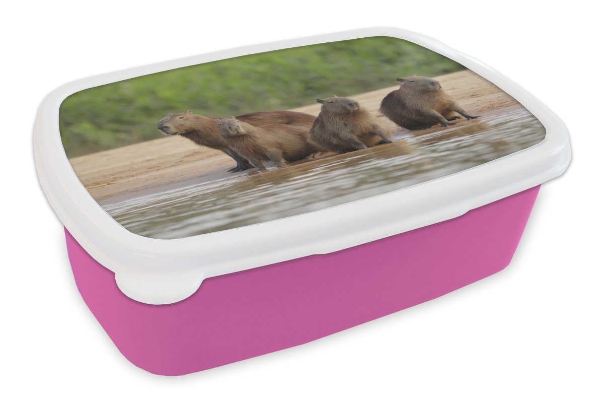 MuchoWow Lunchbox Familie Capibara am Wasser, Kunststoff, (2-tlg), Brotbox für Erwachsene, Brotdose Kinder, Snackbox, Mädchen, Kunststoff rosa