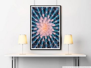 Sinus Art Poster 60x90cm Naturfotografie Poster Runder Kaktus mit Stacheln
