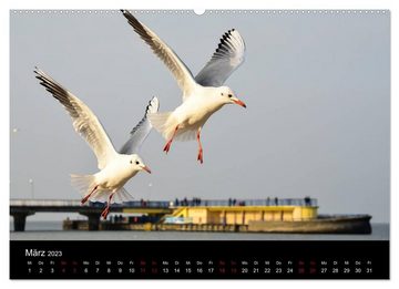 CALVENDO Wandkalender Polen - Reise durch unser schönes Nachbarland (Premium, hochwertiger DIN A2 Wandkalender 2023, Kunstdruck in Hochglanz)