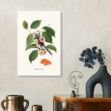 Posterlounge Forex-Bild Jonas Loose, Sushi-Pflanze, Illustration