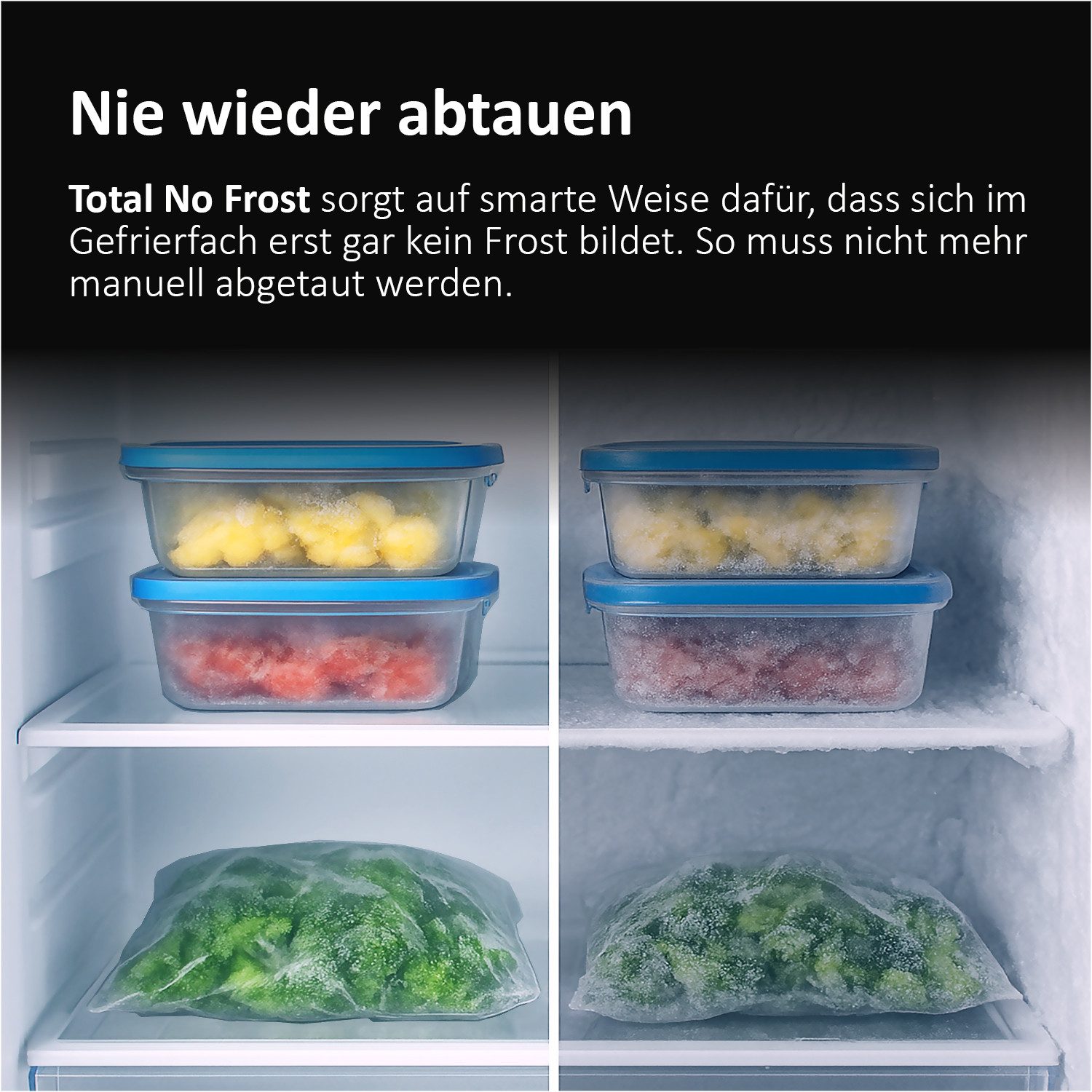 Haier Kühl-/Gefrierkombination Cube 83 HCR3818ENMD, 181,5 cm hoch, 83,3 cm breit, Total No Frost: Nie wieder abtauen – Bild 5 von 5