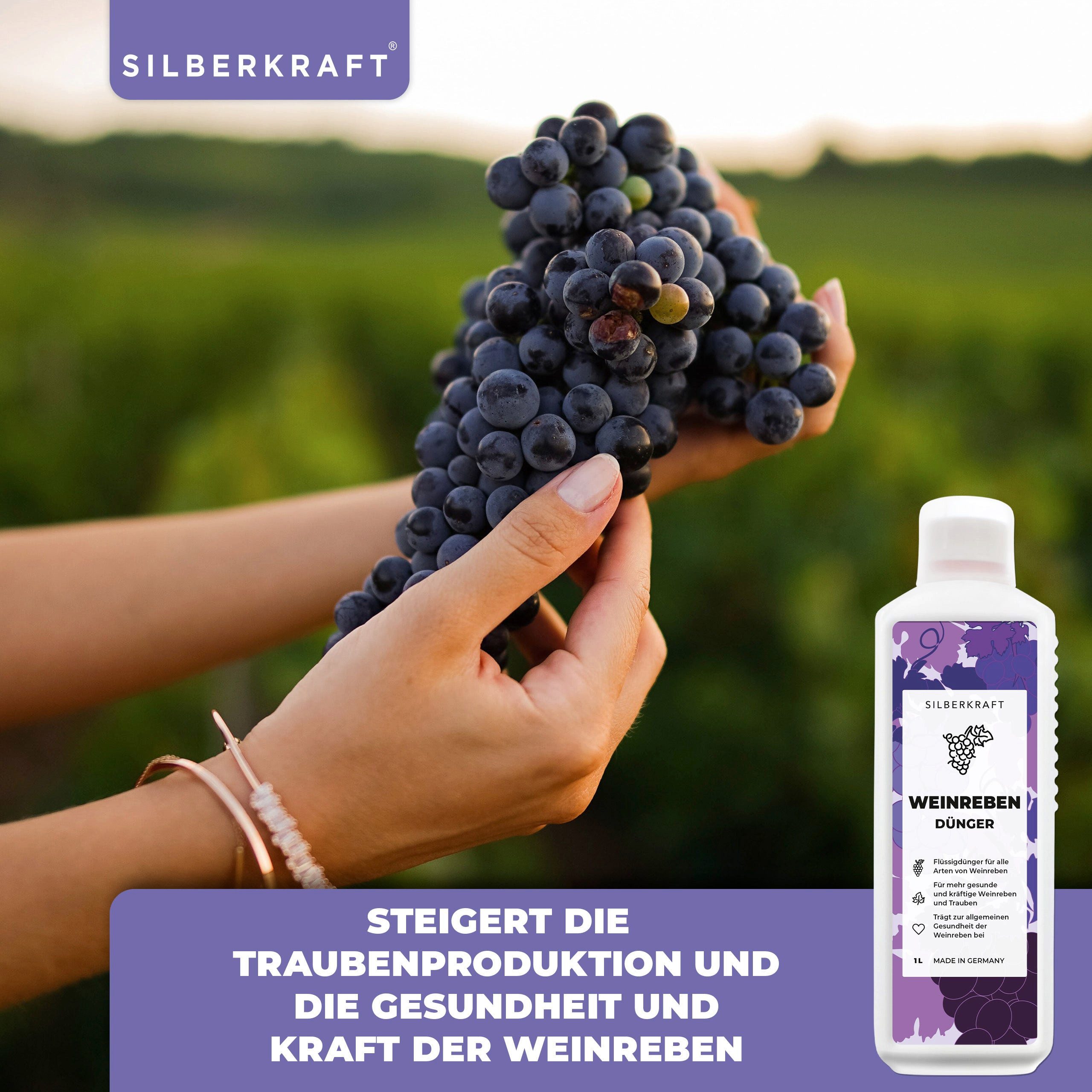 Silberkraft Pflanzenstärkungsmittel Weinreben Dünger - Mineralischer günstig online kaufen