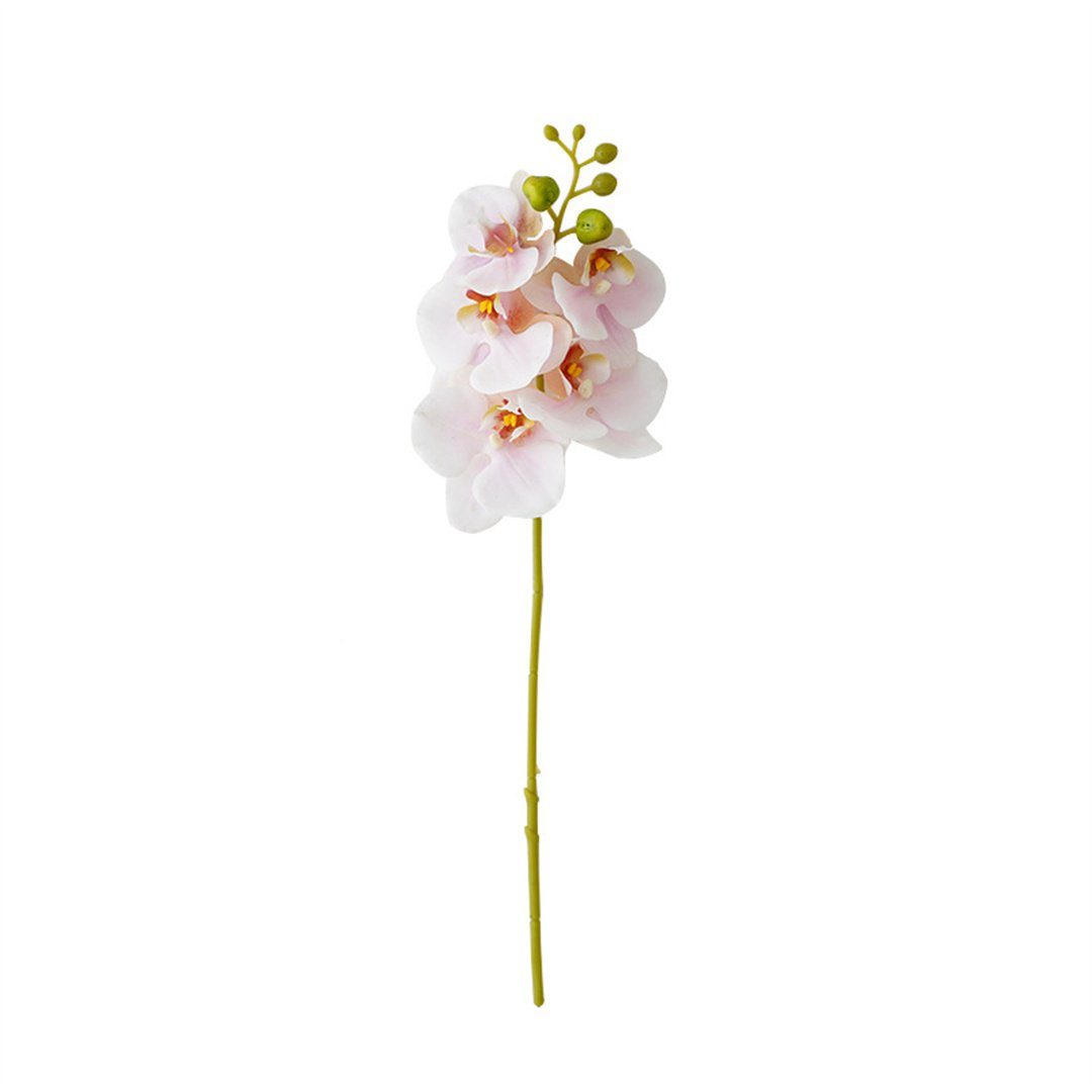 Kunstblumenstrauß Hochwertige 5-köpfige Phalaenopsis-Kunstblume mit feuchtem Gefühl, L.Ru UG, Heimdekorationsornamente, Blumenarrangements und Kunstblumen Rosa | Kunstblumensträuße