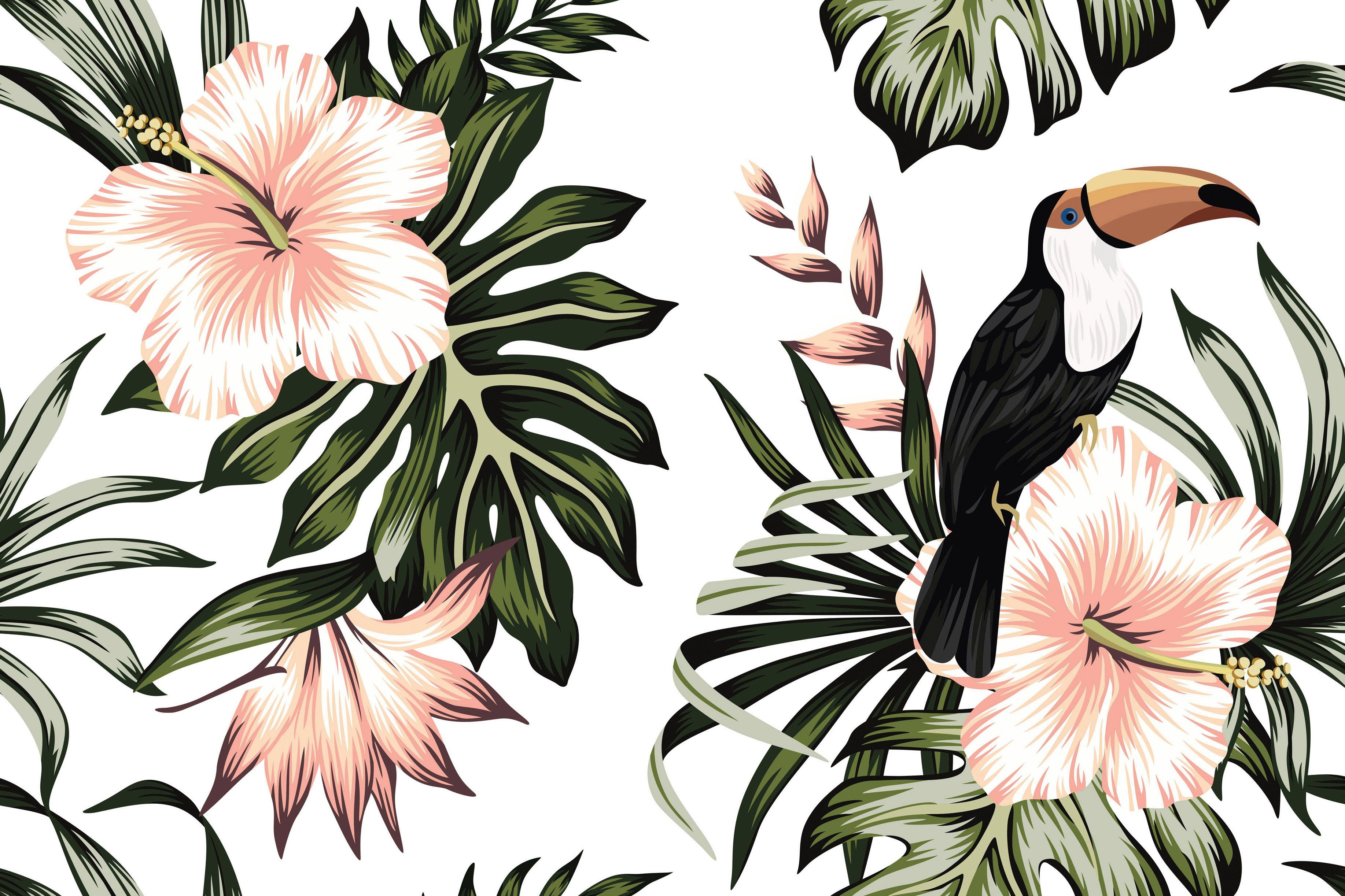 Hibiskus weiß, Dschungel St), Toucan, Création (1 grün, Leinwandbild Palmenblätter Keilrahmen Blumen A.S. schwarz