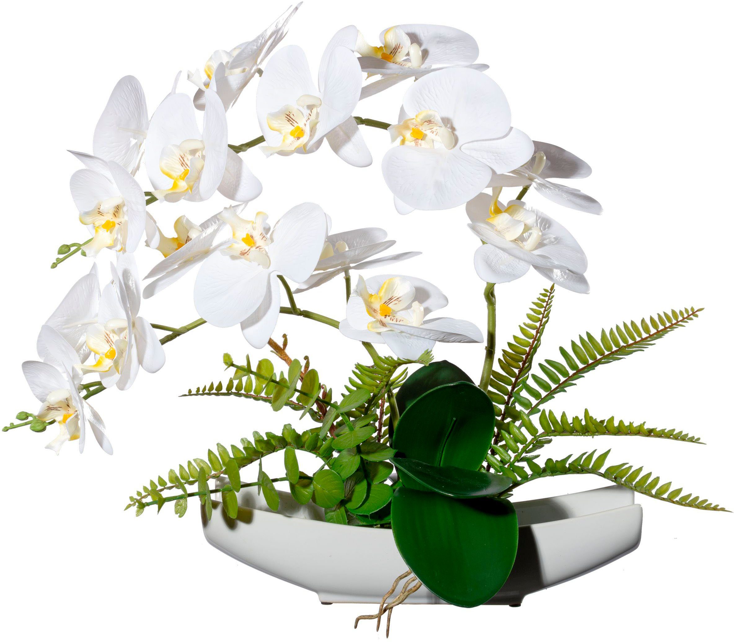 Höhe Creativ Kunstorchidee Keramikschale cm, Orchidee Phalaenopsis, in mit Orchidee green, Phalaenopsis 40 Real-Touch-Blüten