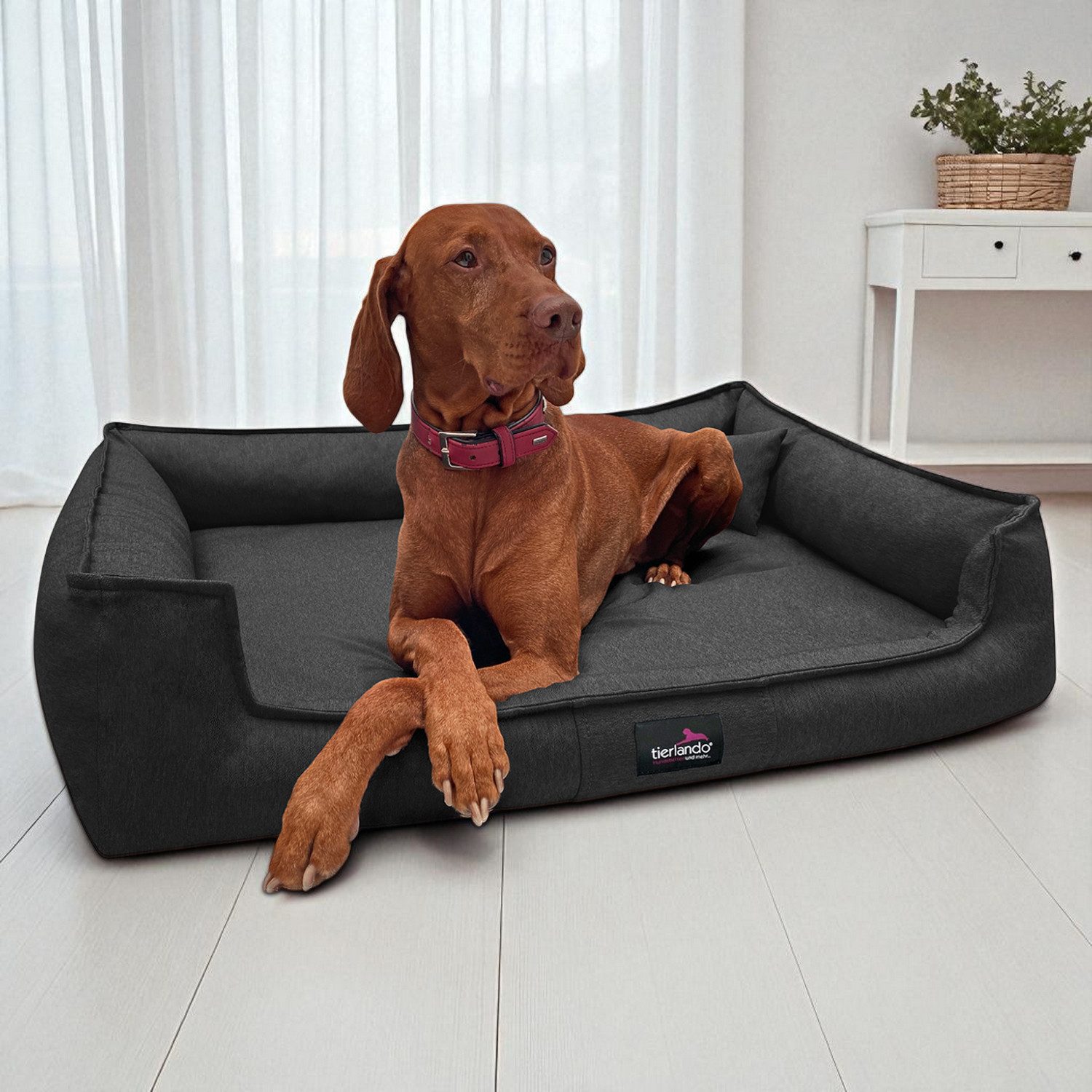 tierlando® Tierbett Orthopädisches Hundebett GUSTAV SCANDI günstig online kaufen