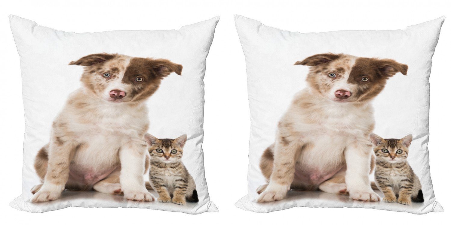 Doppelseitiger Border-Collie-Welpe und Stück), Katze Hund Kissenbezüge Abakuhaus Digitaldruck, (2 Modern Accent