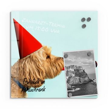 DEQORI Magnettafel 'Hund mit Partyaccessoires', Whiteboard Pinnwand beschreibbar