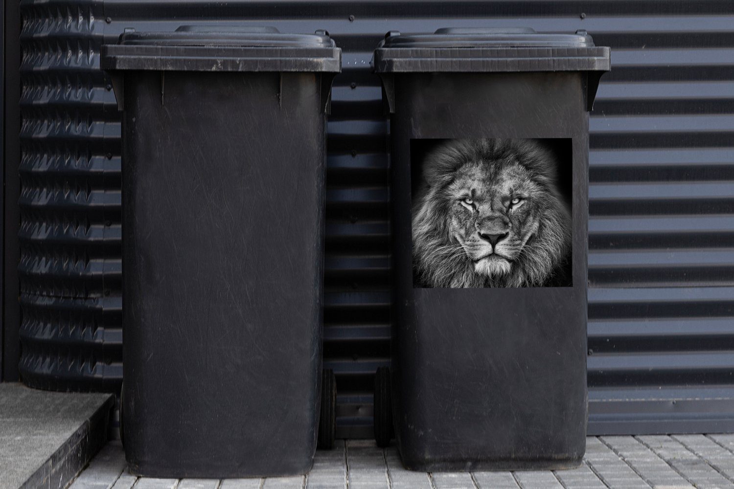 Sticker, Mülleimer-aufkleber, - - (1 Container, Mülltonne, - Wandsticker St), Löwe Abfalbehälter Porträt Schwarz Weiß MuchoWow - Tiere